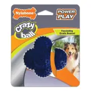 Nylabone Power Play Crazy Ball Interactive Play Toy, Fetch Ball Toy for Dogs,