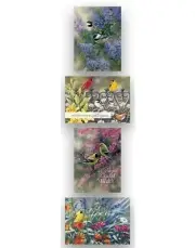 Card-Boxed-Shared Blessings-Get Well 3-Birds (Box Of 12)