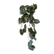 [Elme Living] Anthurium Vine Hanging Plant - 32 x 30 x 90cm