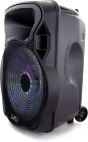 15 Inch Bluetooth Rechargeable Party Speaker with Illuminating Lights,Black,Bfs-
