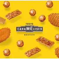 在飛比找蝦皮購物優惠-東京上野風月堂  Tokyo Carameliser焦糖脆餅