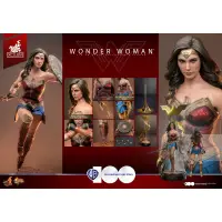 在飛比找蝦皮購物優惠-Hot Toys MMS698 WB100周年限定 正義聯盟