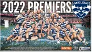 2022 GEELONG CATS TEAM PHOTO,AFL FOOTBALL PREMIERS CHAMPIONS,Geelong cats 9