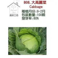 在飛比找momo購物網優惠-【蔬菜工坊】B08.大高麗菜種子種子