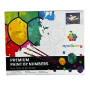 Paint by Numbers 16x20" Framed Canvas for Adults - Mark Kelso's Soliste