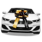 20 Inch Graduate Big Car Bow Large Giant Graduation Congratulations Car Bow