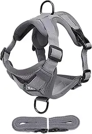 Escape Proof Cat Harness, Cat Harness, Breathable Cat Vest Harness, Cat Harness and Lead Set for Walks with Kittens and Puppies, Escape Proof Kitten Harness, Reflective
