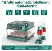 15 Eggs Incubator With Drawer Type Mini