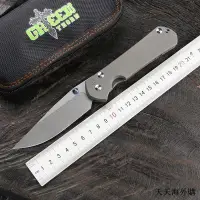 在飛比找露天拍賣優惠-綠刺large Sebenza 31折刀VG10刀片TC4鈦