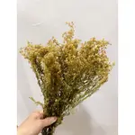 麒麟草 乾燥花花束 配草麒麟草 乾燥麒麟草 乾燥花材 婚禮花束配草