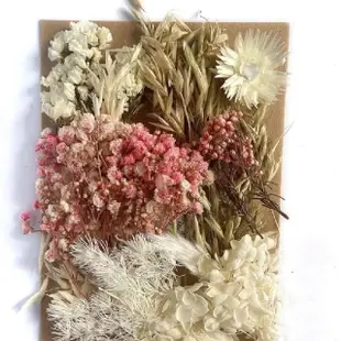 【BJ SHOP】乾燥花 量販包 浮游花 蠟燭 花藝材料包 蠟燭 乾花 居家裝飾(乾燥花 永生花)