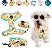 3-Piece Walkies Bundle [Pipco Pets] - Adjustable Dog Harness + Lead + Poo Bag Dispenser | Cute Colourful Patterns | Perfect Fit, Escape Proof Vest | Safe and Secure | (L, Summer Melons)