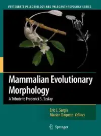 在飛比找博客來優惠-Mammalian Evolutionary Morphol