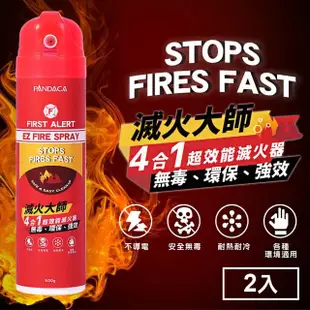 【Marvelmax嚴選】台灣製滅火大師4合1車用家用超效能滅火器600g(2入)