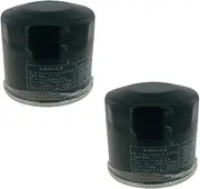 Motorcycle Oil Filter For VTR1000 SP 01-06 XL1000V Varadero 1000 03-13 CB1100 13-16 CB1100EX 2015-2022 ASP1100P hawk(2pcs)