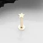 14 Karat Gold Flat Star Top Threadless Push-In Flat Back Stud Labret