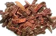 Dried shikakai for hair thickening mask, natural hair thickening Treatment