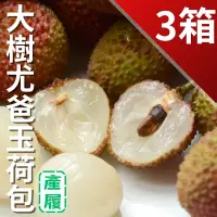 在飛比找台灣好農優惠-大樹尤爸產銷履歷玉荷包(3台斤)(顆粒)3箱