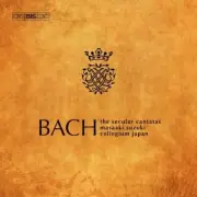 J.S. BACH / BACH COLLEGIUM JAPAN / TURK - COMPLETE SECULAR CANTATAS (W/CD)
