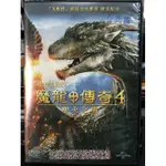 影音大批發-D04-037-正版DVD-電影【魔龍傳奇4：聖火之戰】-X教授派屈克史都華(直購價)