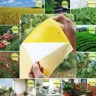 10/20/30PC Sided Yellow Sticky Gnat Traps for Indoor/Outdoor Flying Plant Insect