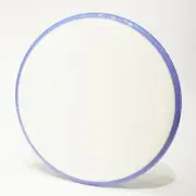 Axiom Dyer's Delight Prism Neutron Pyro Blank White Disc Golf Midrange Disc