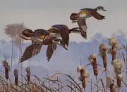 1985 Florida Duck Stamp Press Proof Print Signed by Bob Binks - Wood Ducks