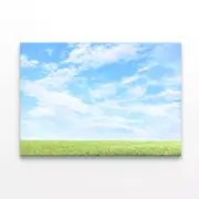Grassy Field and Blue Sky Print 100% Australian Made 120 x 90cm (Stretched)