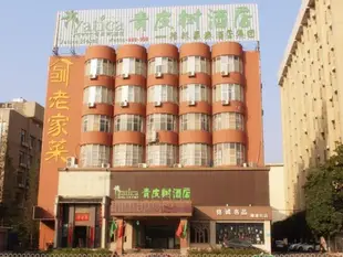 青皮樹合肥徽州大道社科院酒店Vatica Hefei Huizhou Avenue Chinese Academy of Social Sciences Hotel