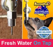 Dog Fountain Drinking Bowl tap attachment for Medium to Large Breeds