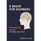 A Brain for Numbers: The Biology of the Number Instinct