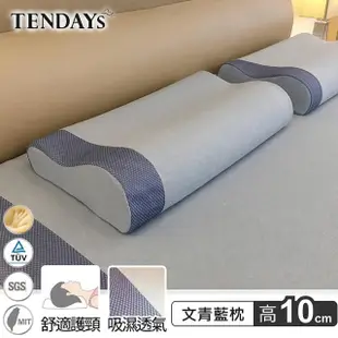 【TENDAYS】玩色柔眠記憶枕(文青藍 8/10cm任選)