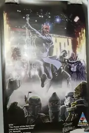 Star wars celebration art print Randy Martinez "The power of the dark side" Sith