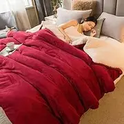 Wool Throw Blanket Keep Warm Winter Bed Blankets Double Sided Queen Duvet Cover Camping Double Bed Cover Bedspread On The Bed,Wine Red,120x200cm 1kg