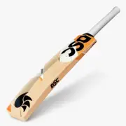 DSC Krunch 55 Men's Kashmir Willow Cricket Bat