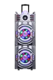 MPD1017B Rechargeable 2 x 10” USB SD Bluetooth DJ SPEAKER SYSTEM 12,500 Watts