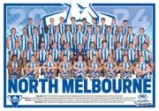 North Melbourne kangaroos LAMINATED Afl football 2024 TEAM POSTER,BIG 420mm