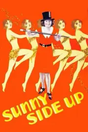 Sunny Side Up (1929) Movie Wall Art Poster Print Pick A Size Lot Up