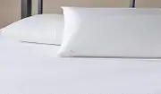 Zipped Pillow Cases Protectors Super King Size Pack of 2 Anti Bed Bug Anti Dust Mite Hypo Allergenic Soft Smooth Touch