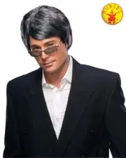 Mens Grey Wig Old Man Silver 50's 60's 70's 80 Mod Costume Fancy Dress Up Party