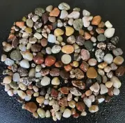 210+ Colorful Michigan Rocks - Chert Epidote Unakite Rhyolite Agate Jasper 12oz