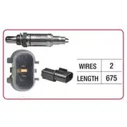 RAE Oxygen Sensor - OX392