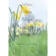 Where Yellow Ribbon Daffodils Grow