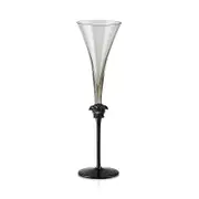 Versace Medusa Lumiere Haze Champagne Flute