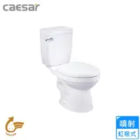 在飛比找momo購物網優惠-【CAESAR 凱撒衛浴】省水馬桶/管距30(CTH1325