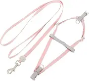 GALPADA Dog Harness and Leash for Small Dogs Puppy Harness Leash Set Escape Proof