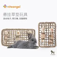 在飛比找蝦皮購物優惠-【現貨速發】Niteangel艾特 兔子懸掛草墊玩具 安全磨