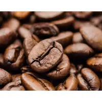 在飛比找蝦皮購物優惠-Owlcoffee 精選咖啡豆