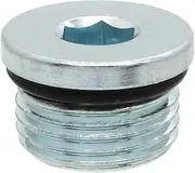 3233794 Compatible with ma~netic Polaris Sportsman Ranger Scrambler 400 500 700 800 Front Diff Drain Plug 3234412 Compatible with ATV Compatible with UTV