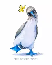 Nursery Art Bird Canvas Print 16 x 20 Wildlife Animal Butterfly Blue White Togel